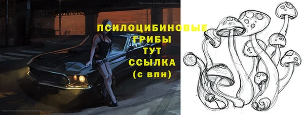 spice Алексеевка
