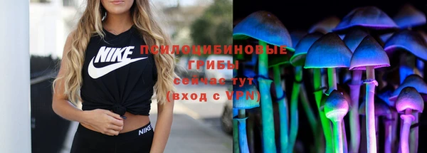 Альфа ПВП Алексин