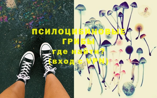 spice Алексеевка