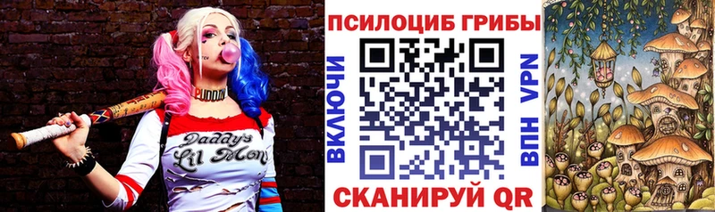 наркота Осташков Псилоцибиновые грибы Cubensis